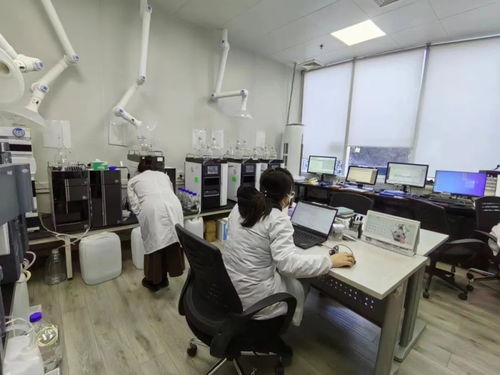 全市首批專精特新服務(wù)站試點(diǎn)落地昌平，助力新材料技術(shù)推廣服務(wù)